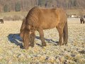 Winter1011 (16)